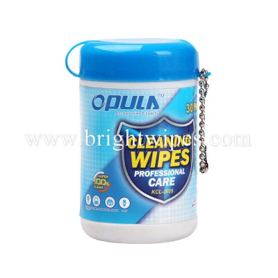 Car cleaning wipes professional care mini wipes